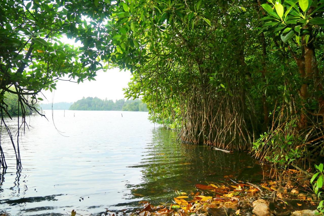 Global Lake Villa היקדואה מראה חיצוני תמונה